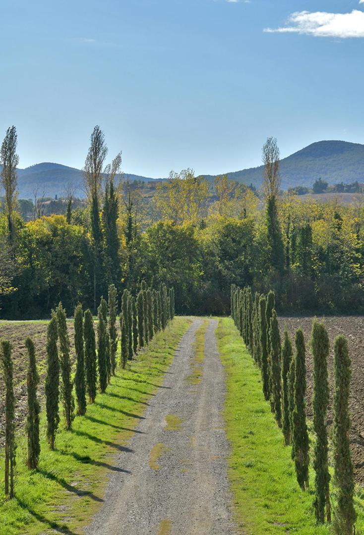 Podere La Querciola Guardistallo Εξωτερικό φωτογραφία